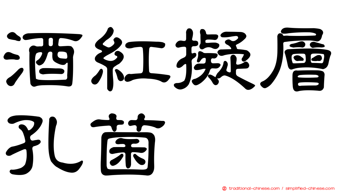 酒紅擬層孔菌