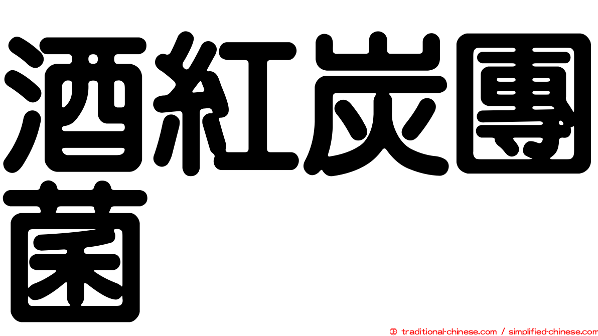 酒紅炭團菌