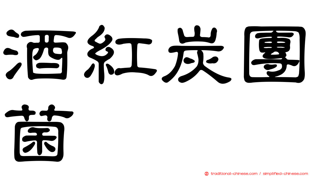 酒紅炭團菌