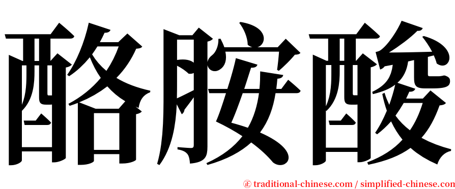 酪胺酸 serif font