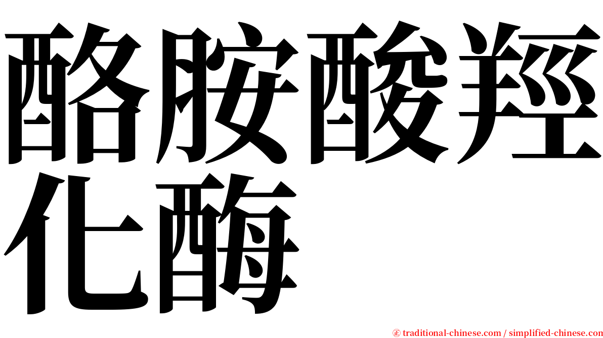 酪胺酸羥化酶 serif font