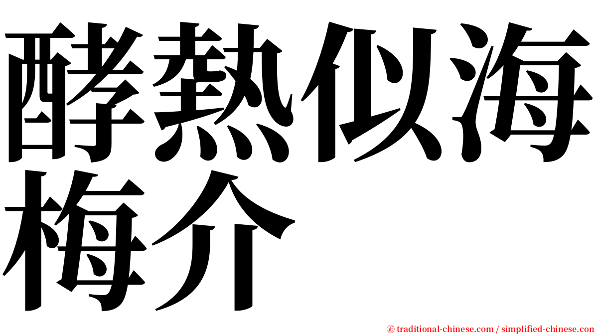 酵熱似海梅介 serif font