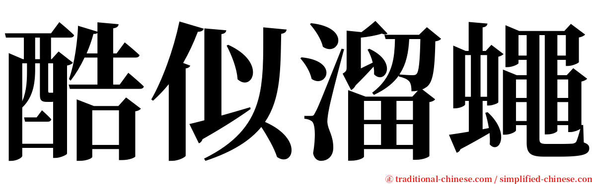 酷似溜蠅 serif font