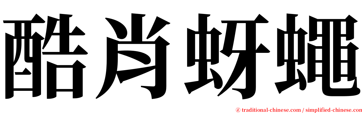 酷肖蚜蠅 serif font