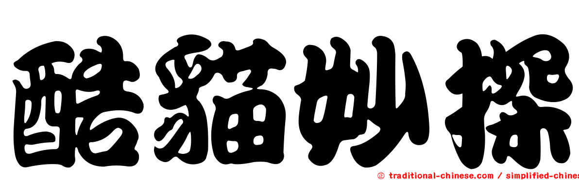 酷貓妙探