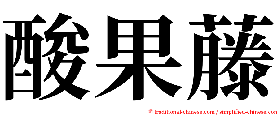 酸果藤 serif font
