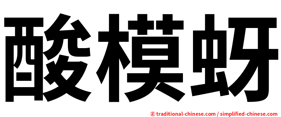 酸模蚜