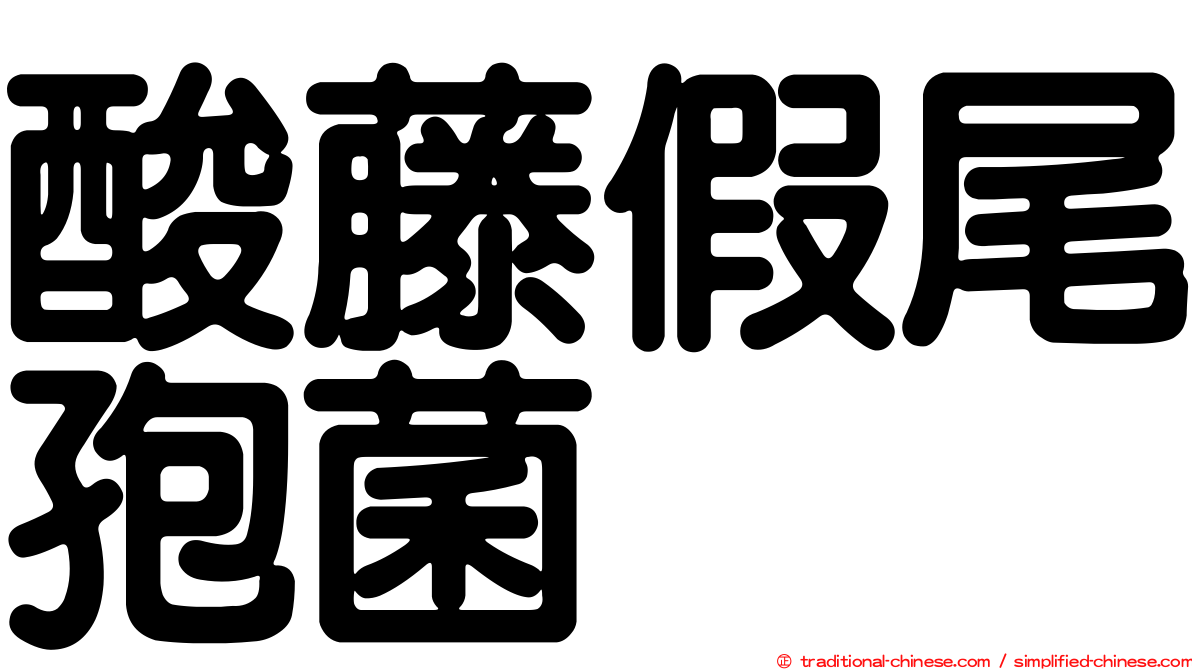 酸藤假尾孢菌