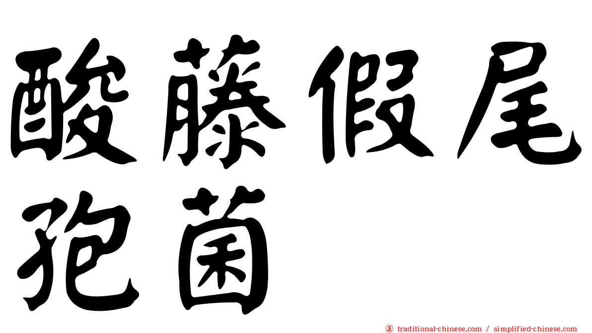 酸藤假尾孢菌