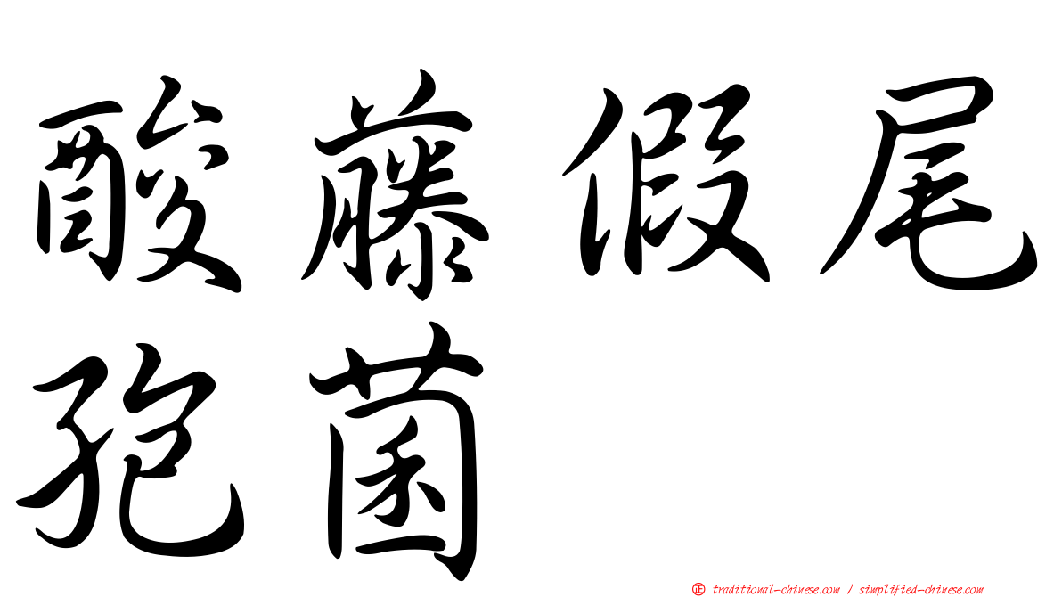 酸藤假尾孢菌