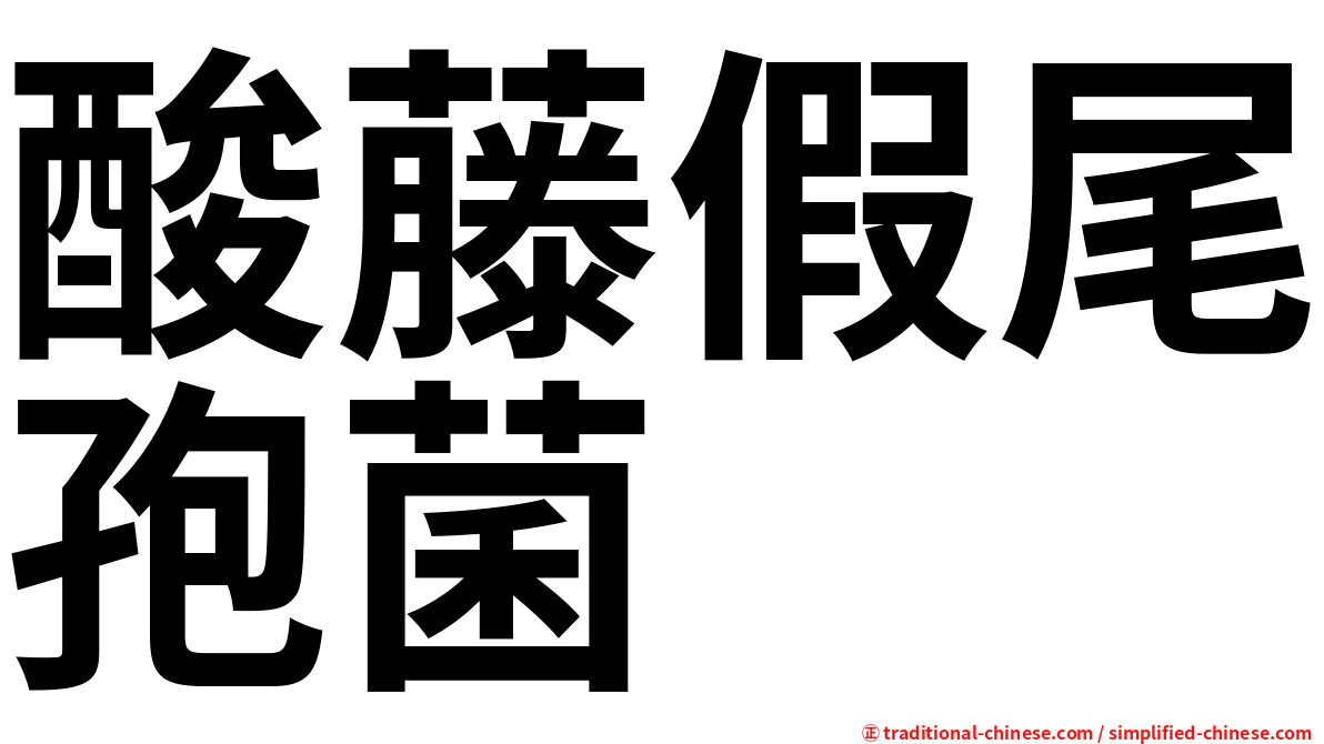 酸藤假尾孢菌