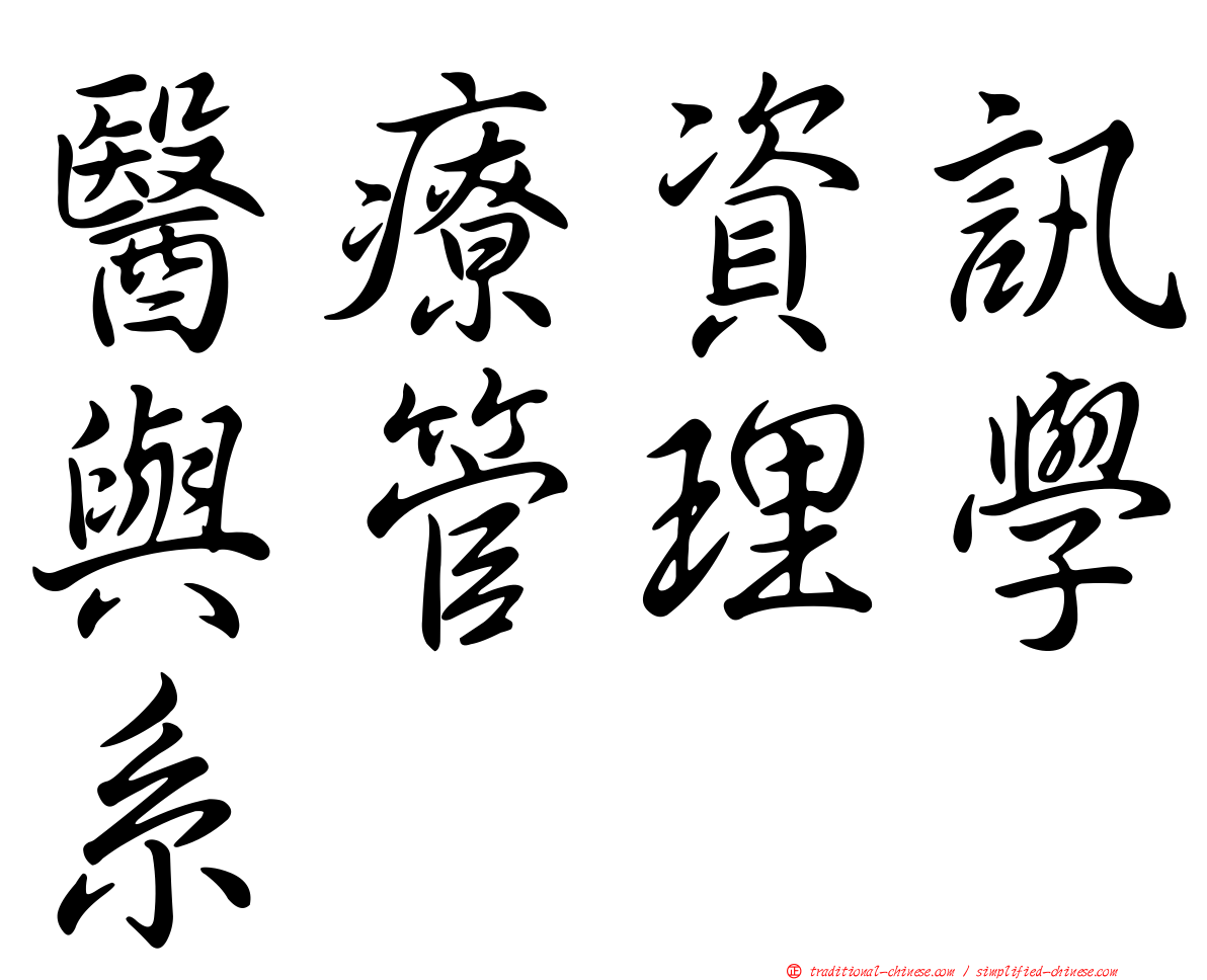 醫療資訊與管理學系
