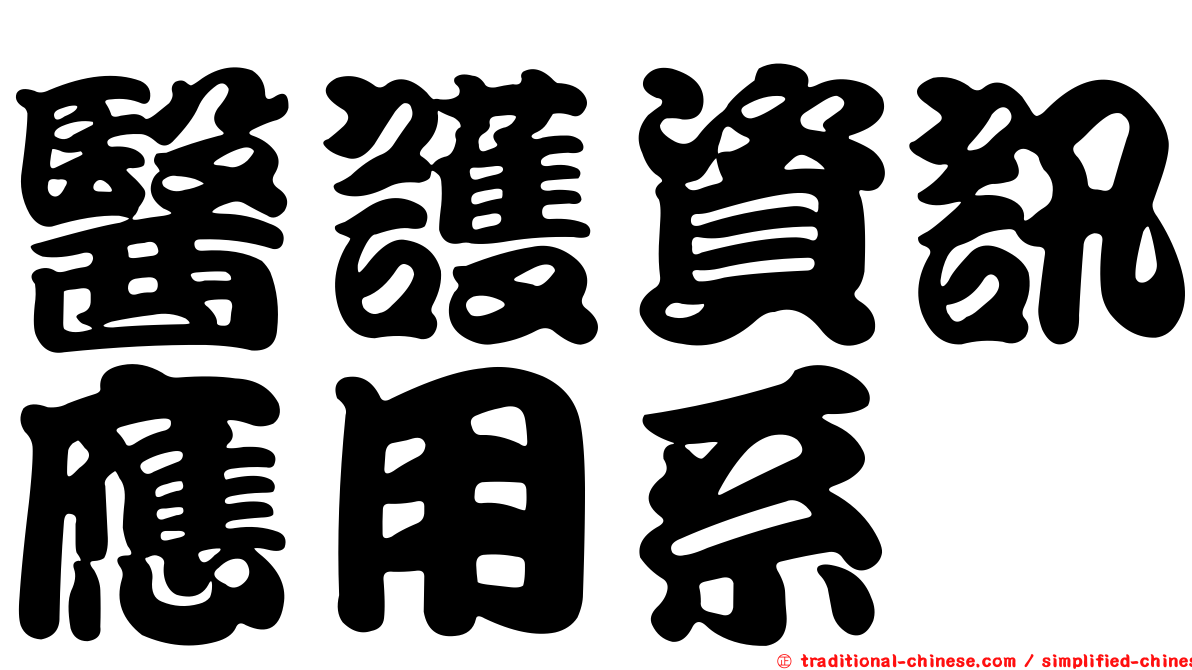 醫護資訊應用系
