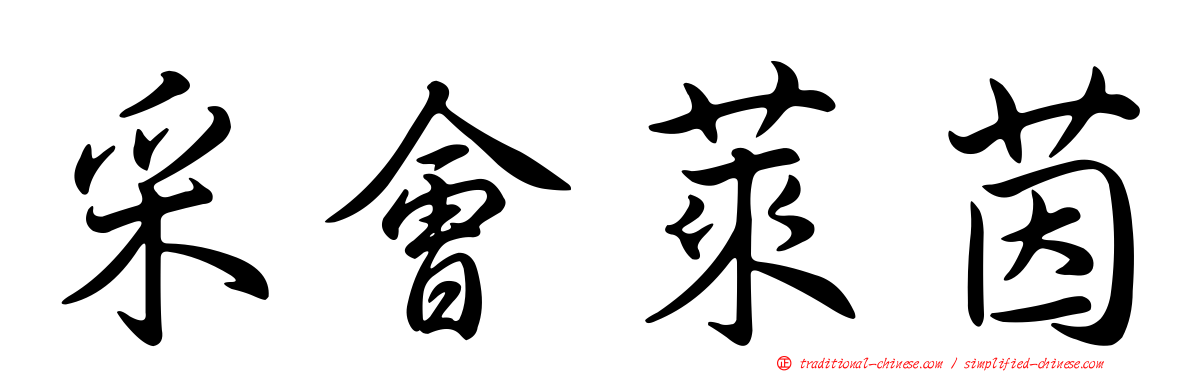 采會萊茵