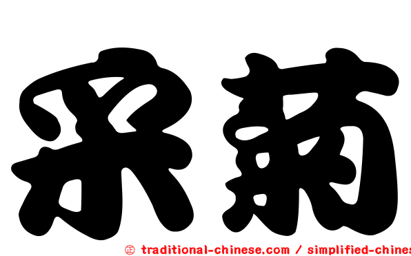 采菊