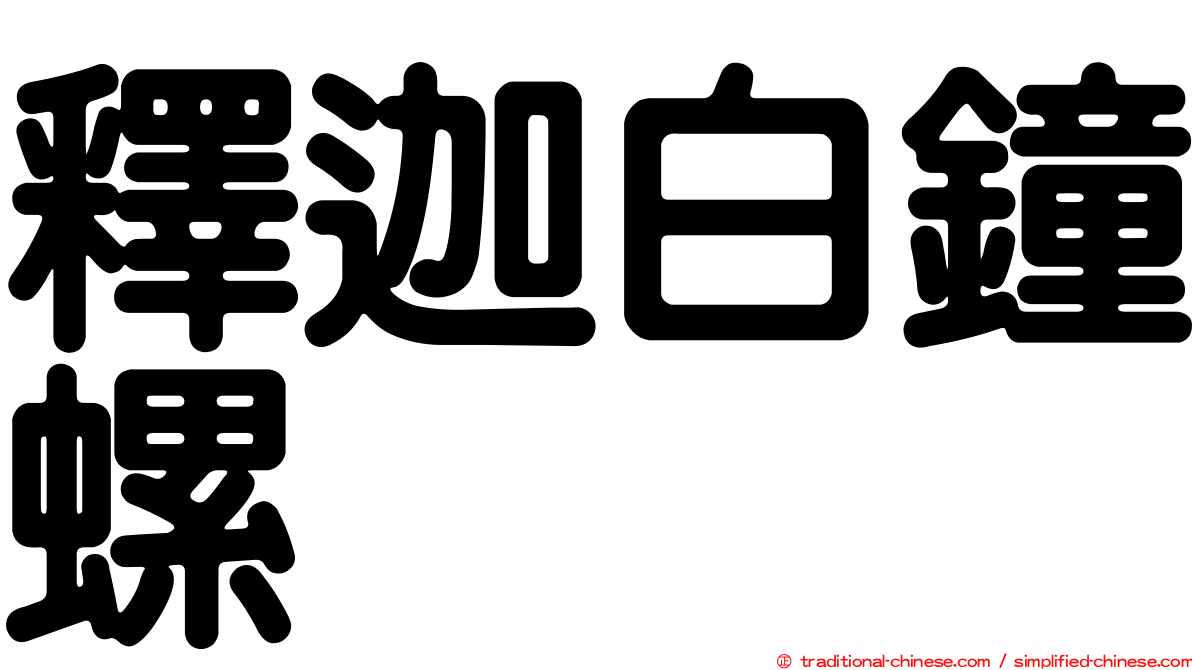釋迦白鐘螺