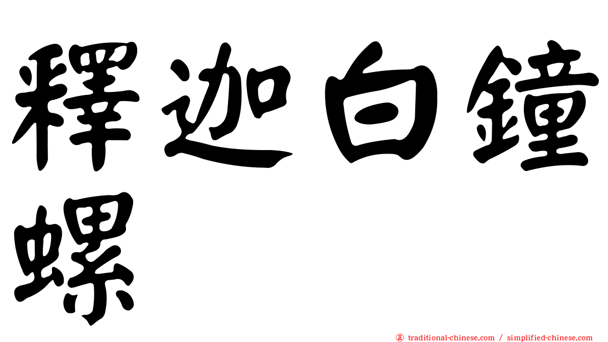 釋迦白鐘螺