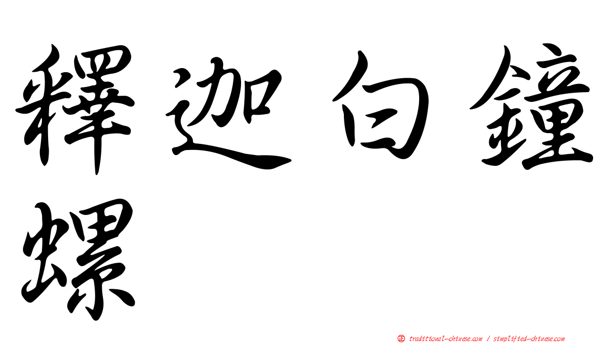 釋迦白鐘螺