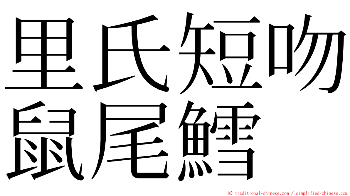 里氏短吻鼠尾鱈 ming font