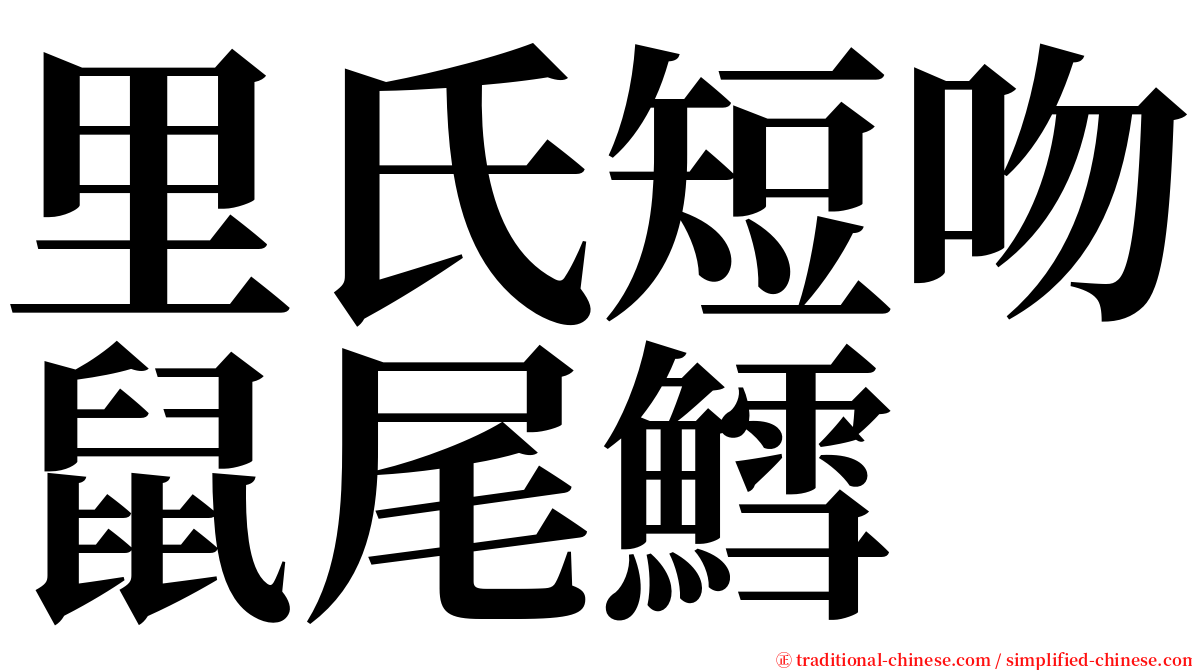 里氏短吻鼠尾鱈 serif font