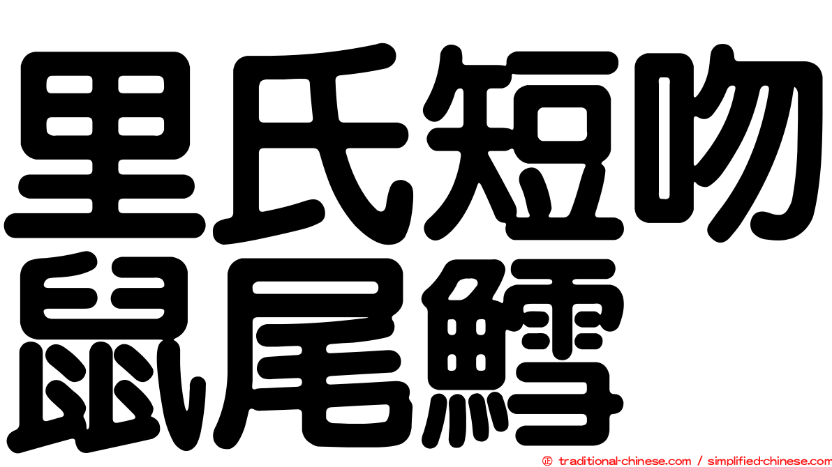 里氏短吻鼠尾鱈