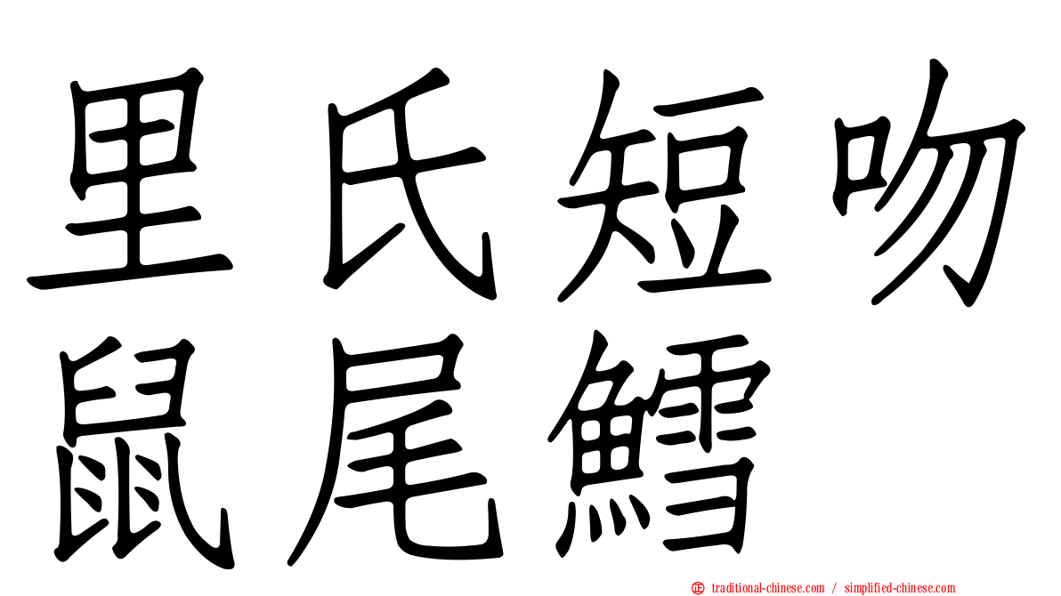 里氏短吻鼠尾鱈