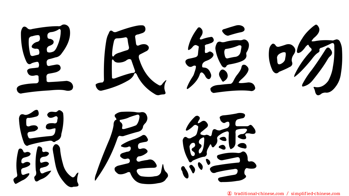 里氏短吻鼠尾鱈