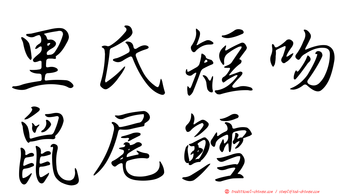 里氏短吻鼠尾鱈