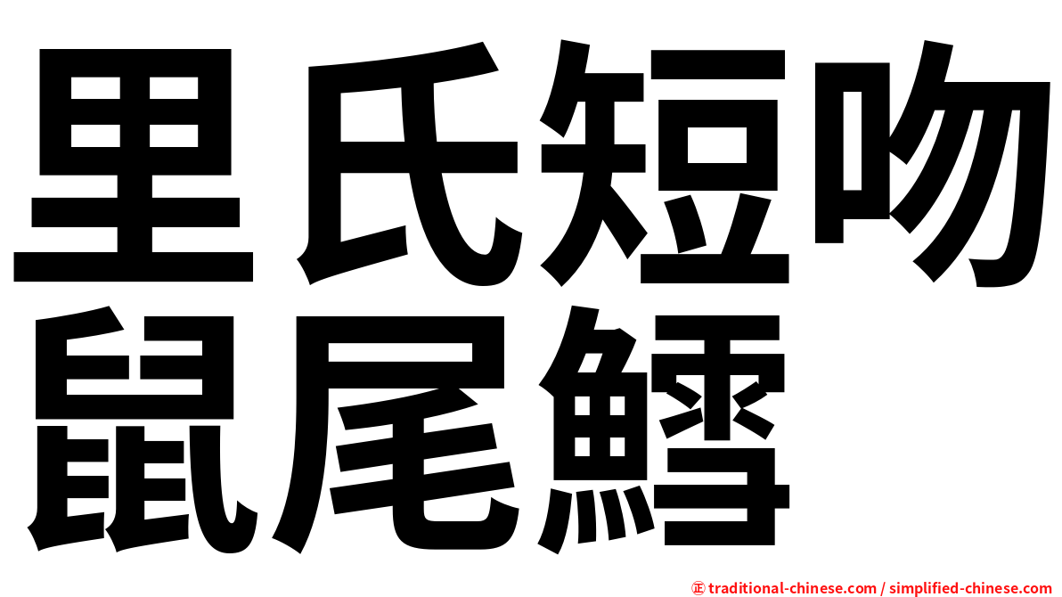 里氏短吻鼠尾鱈