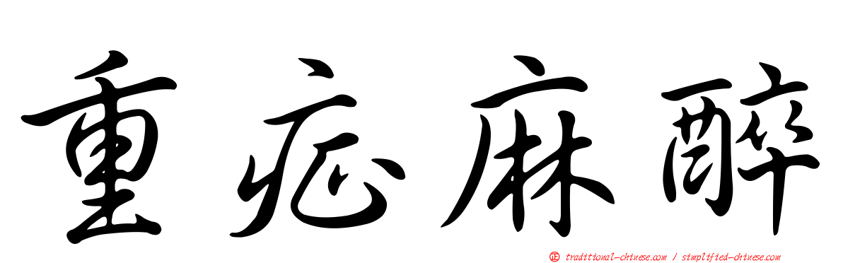 重症麻醉