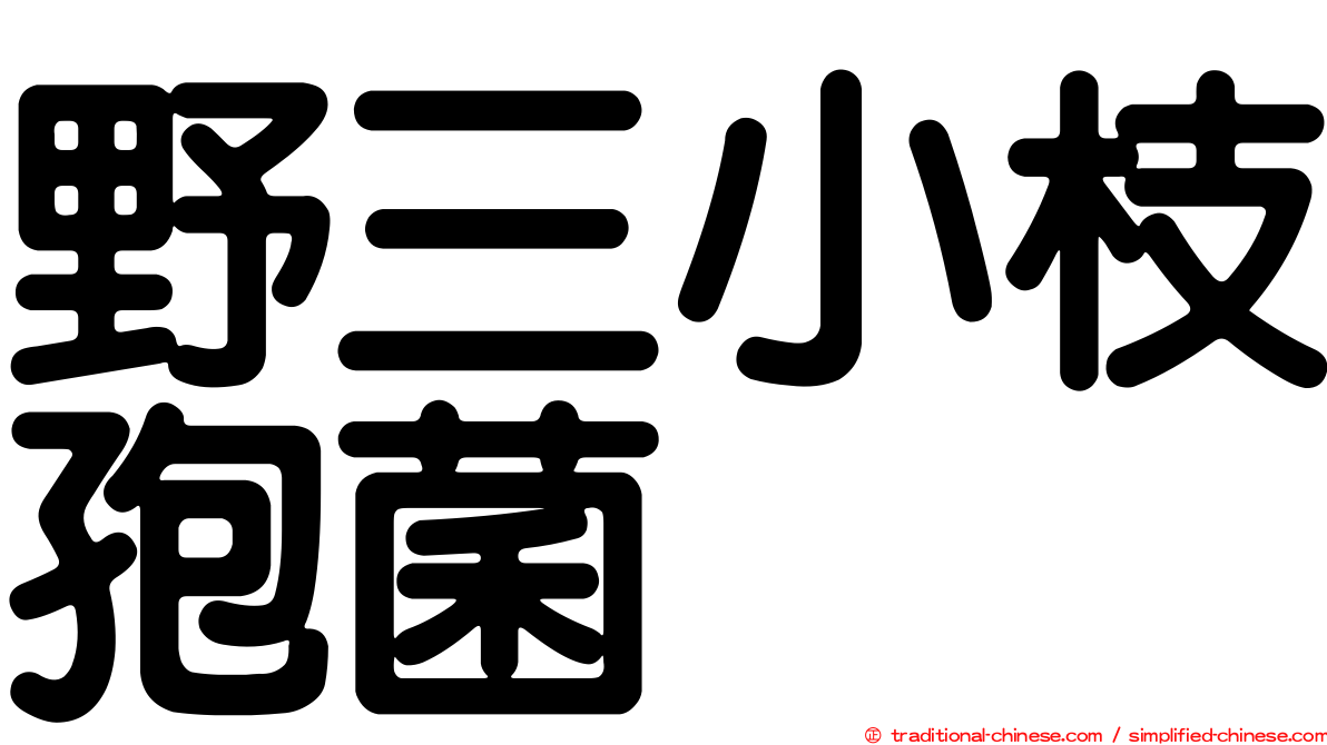 野三小枝孢菌