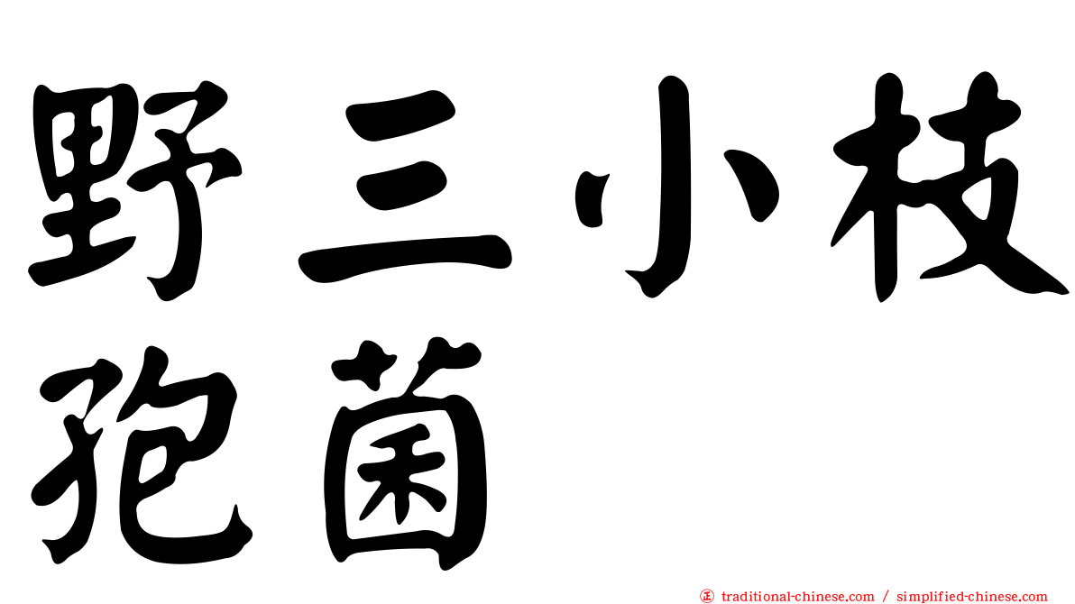野三小枝孢菌