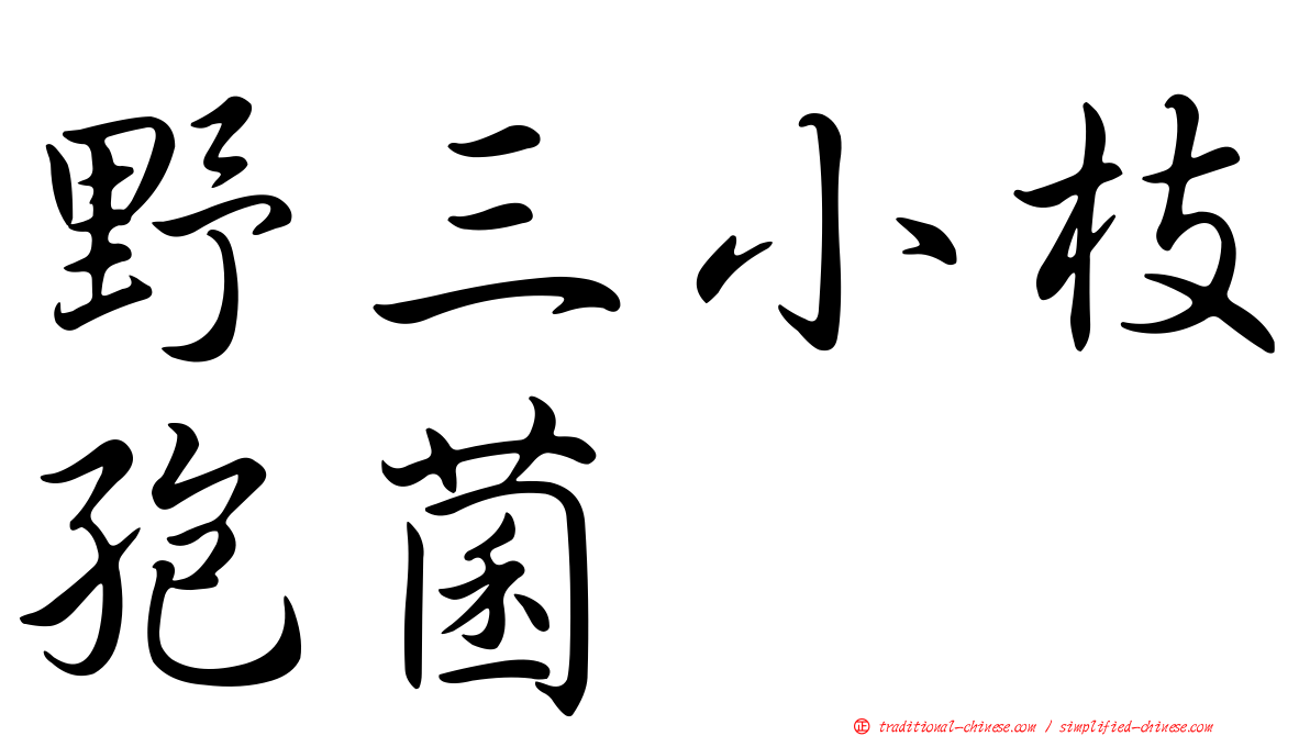 野三小枝孢菌