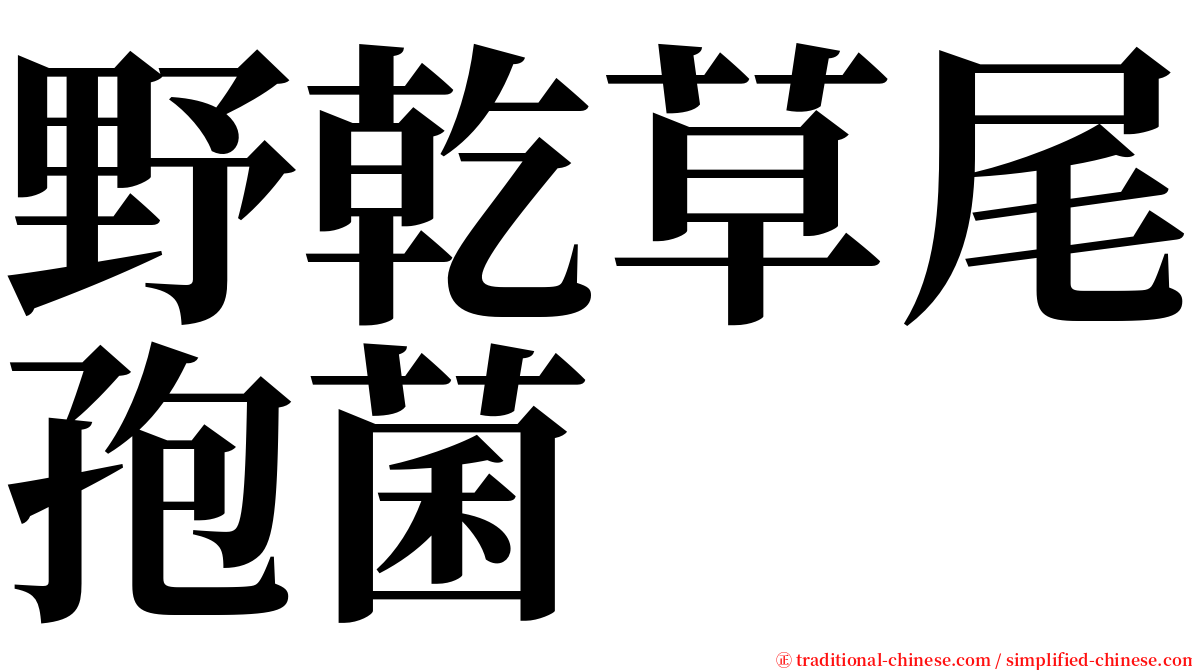 野乾草尾孢菌 serif font