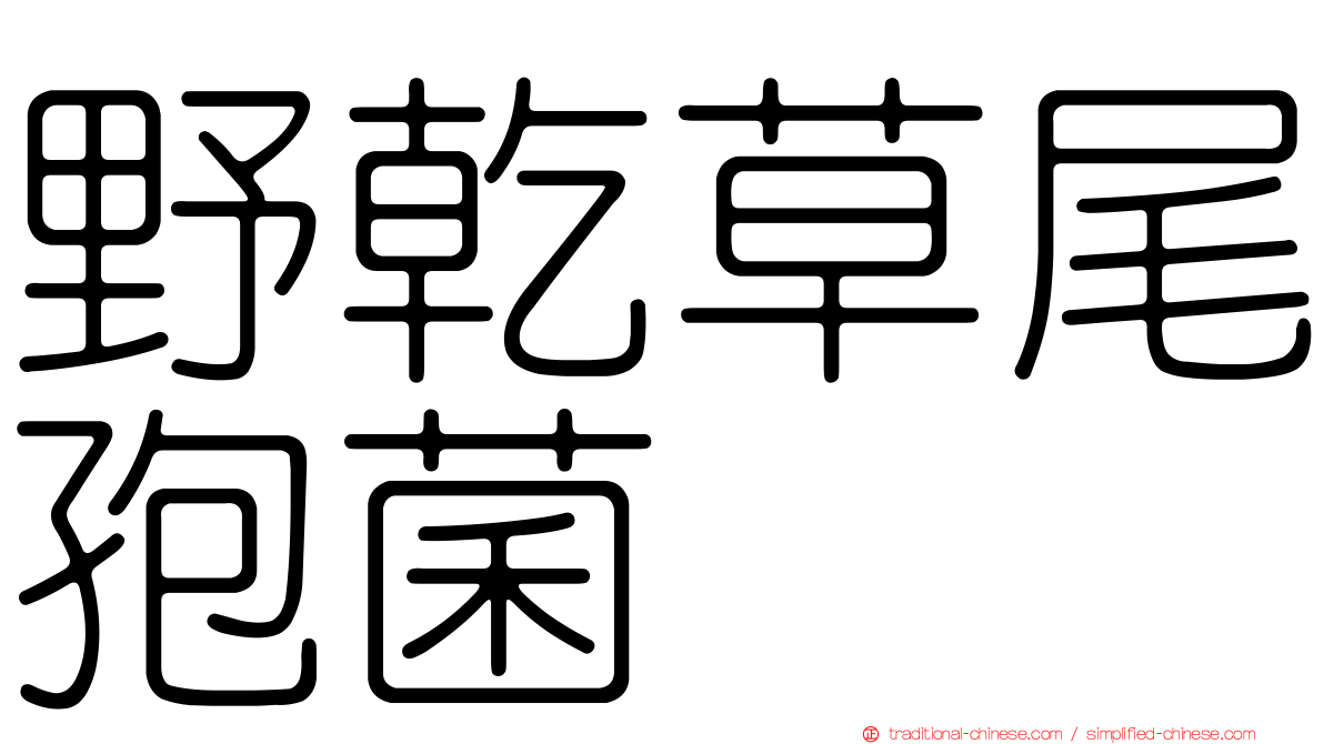 野乾草尾孢菌