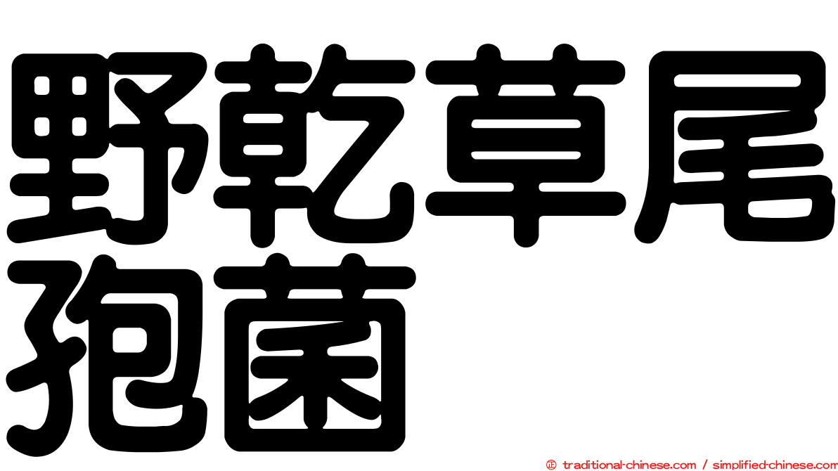 野乾草尾孢菌