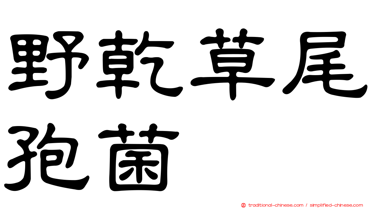 野乾草尾孢菌