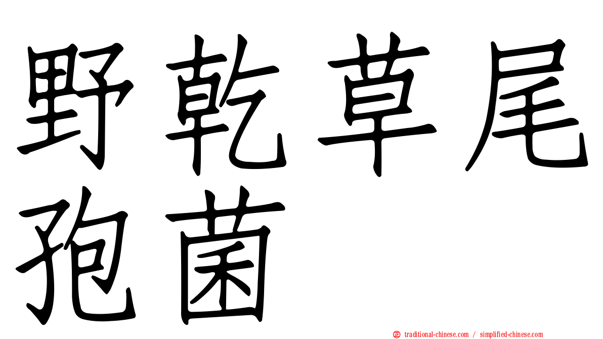 野乾草尾孢菌