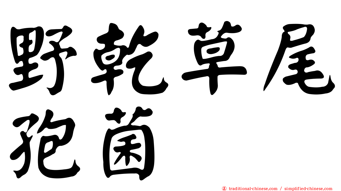 野乾草尾孢菌