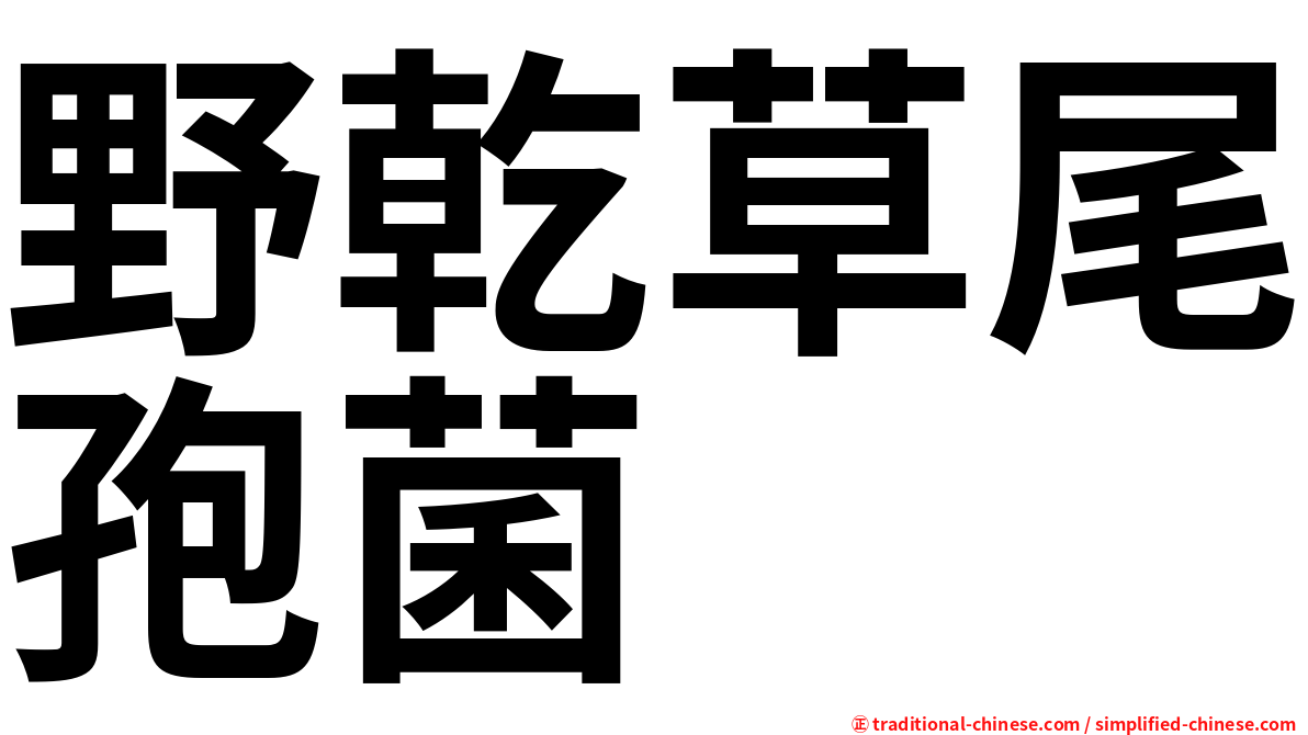 野乾草尾孢菌
