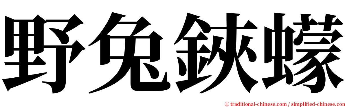野兔鋏蠓 serif font