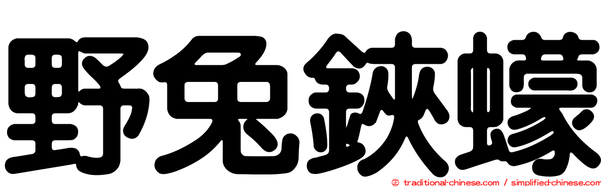 野兔鋏蠓