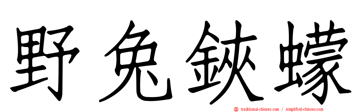 野兔鋏蠓