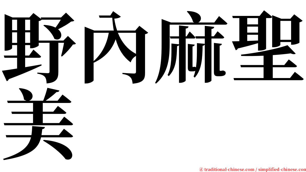 野內麻聖美 serif font