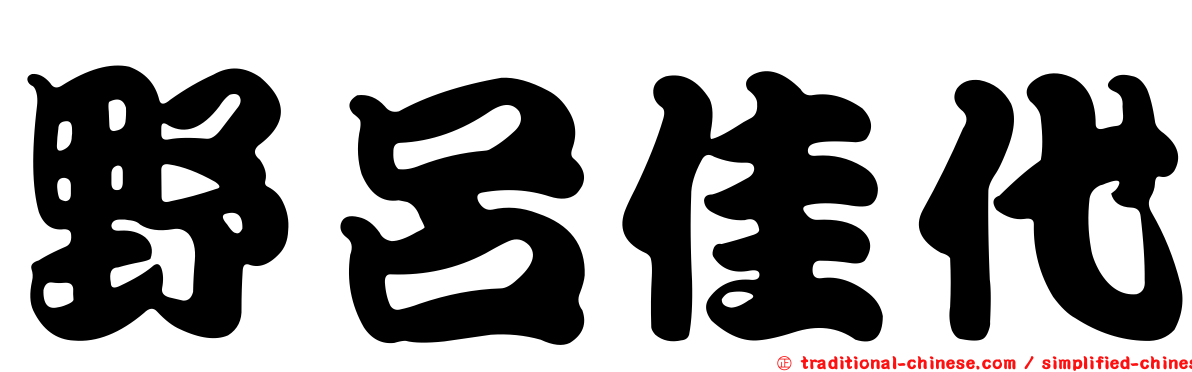 野呂佳代