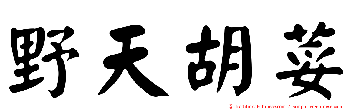野天胡荽