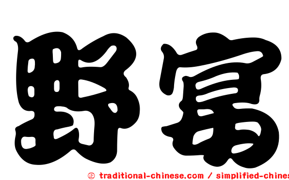 野宴
