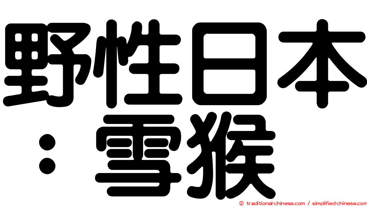 野性日本：雪猴