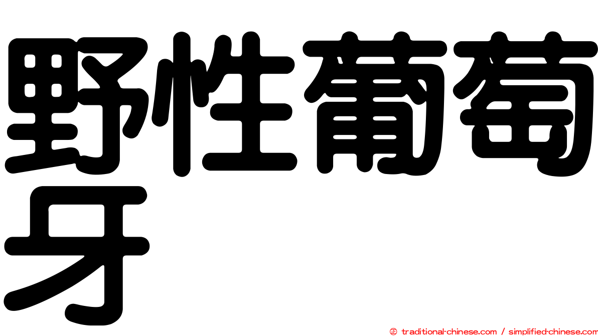 野性葡萄牙