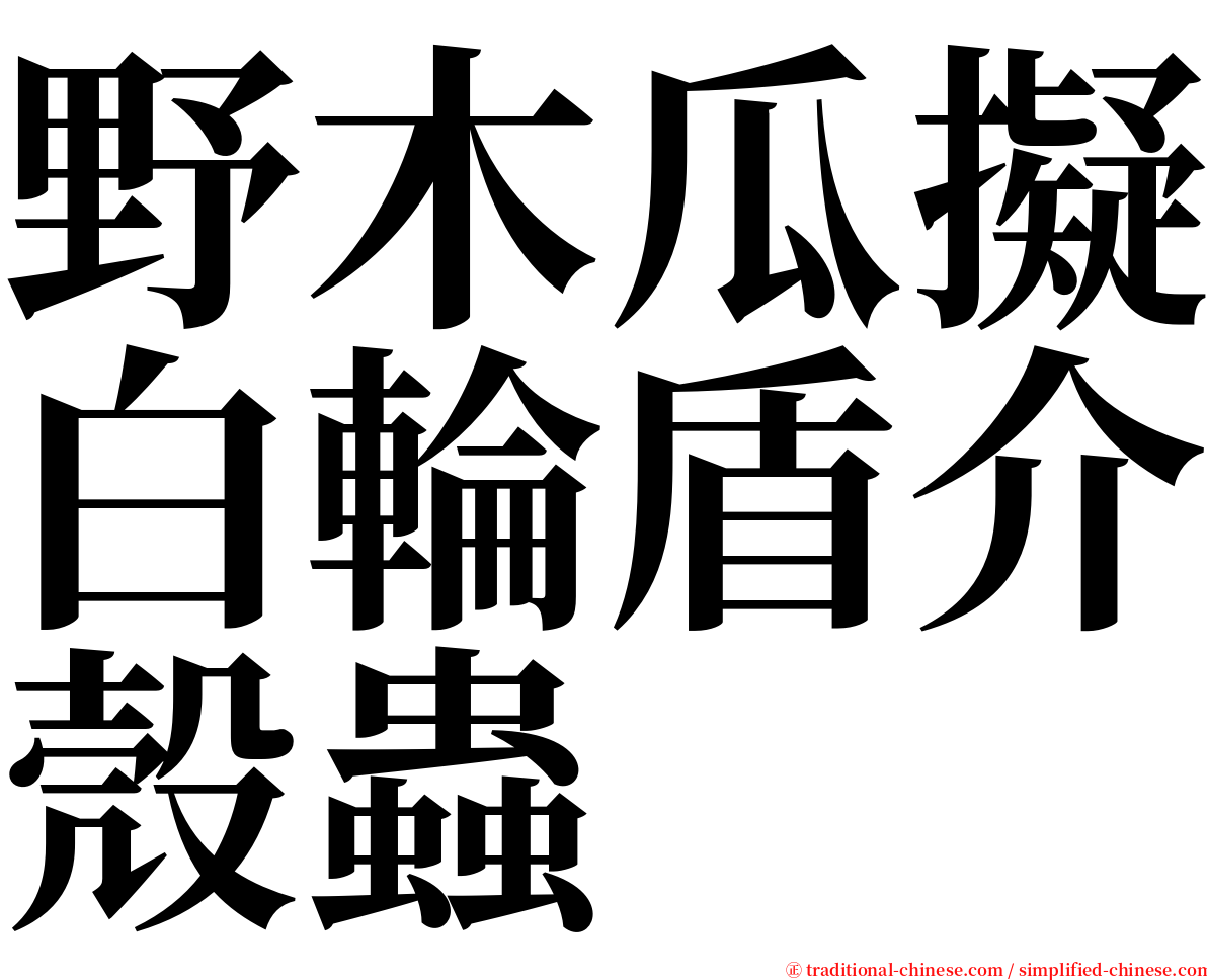 野木瓜擬白輪盾介殼蟲 serif font